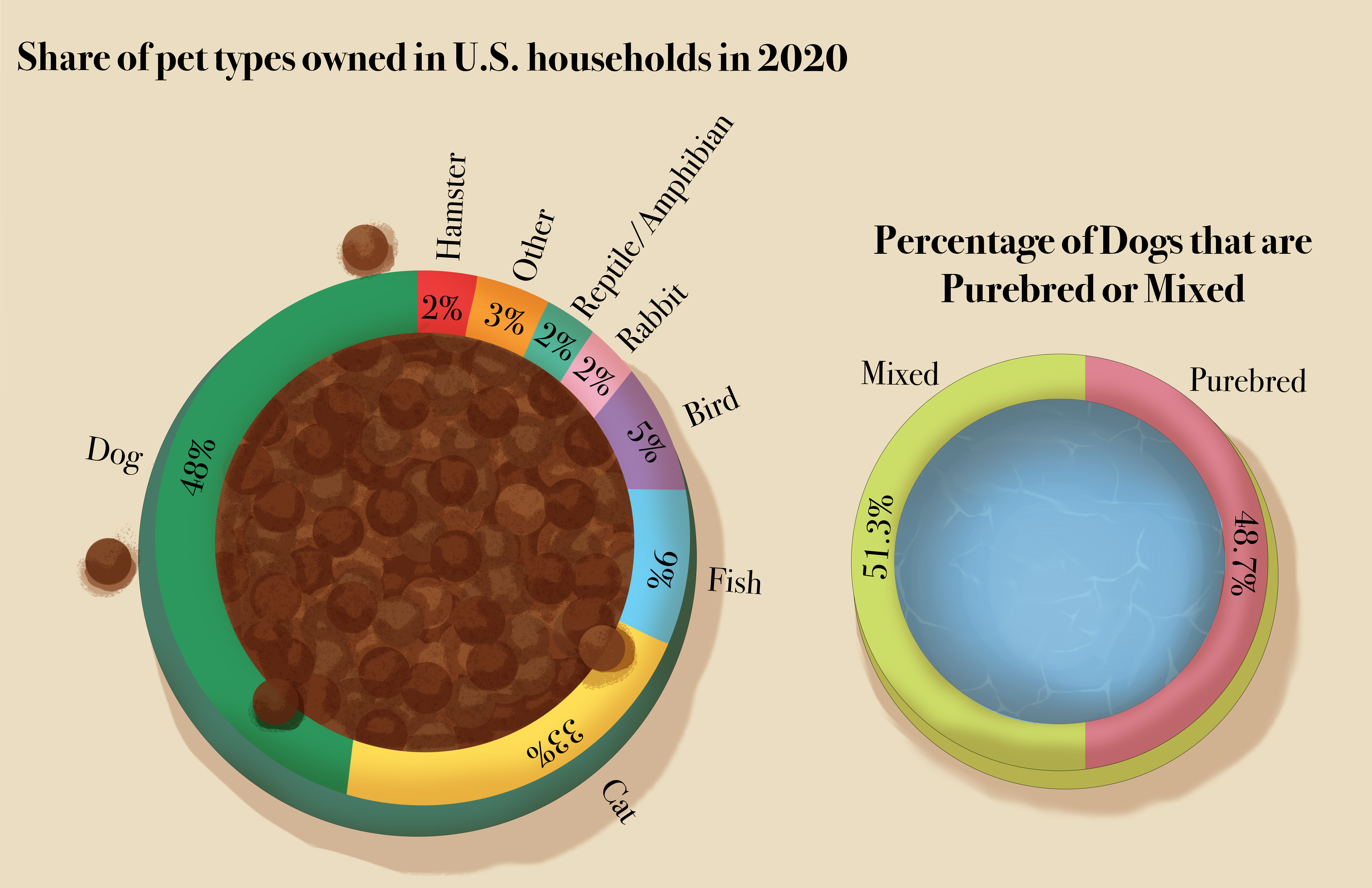 infographic about pet types owned in 2020