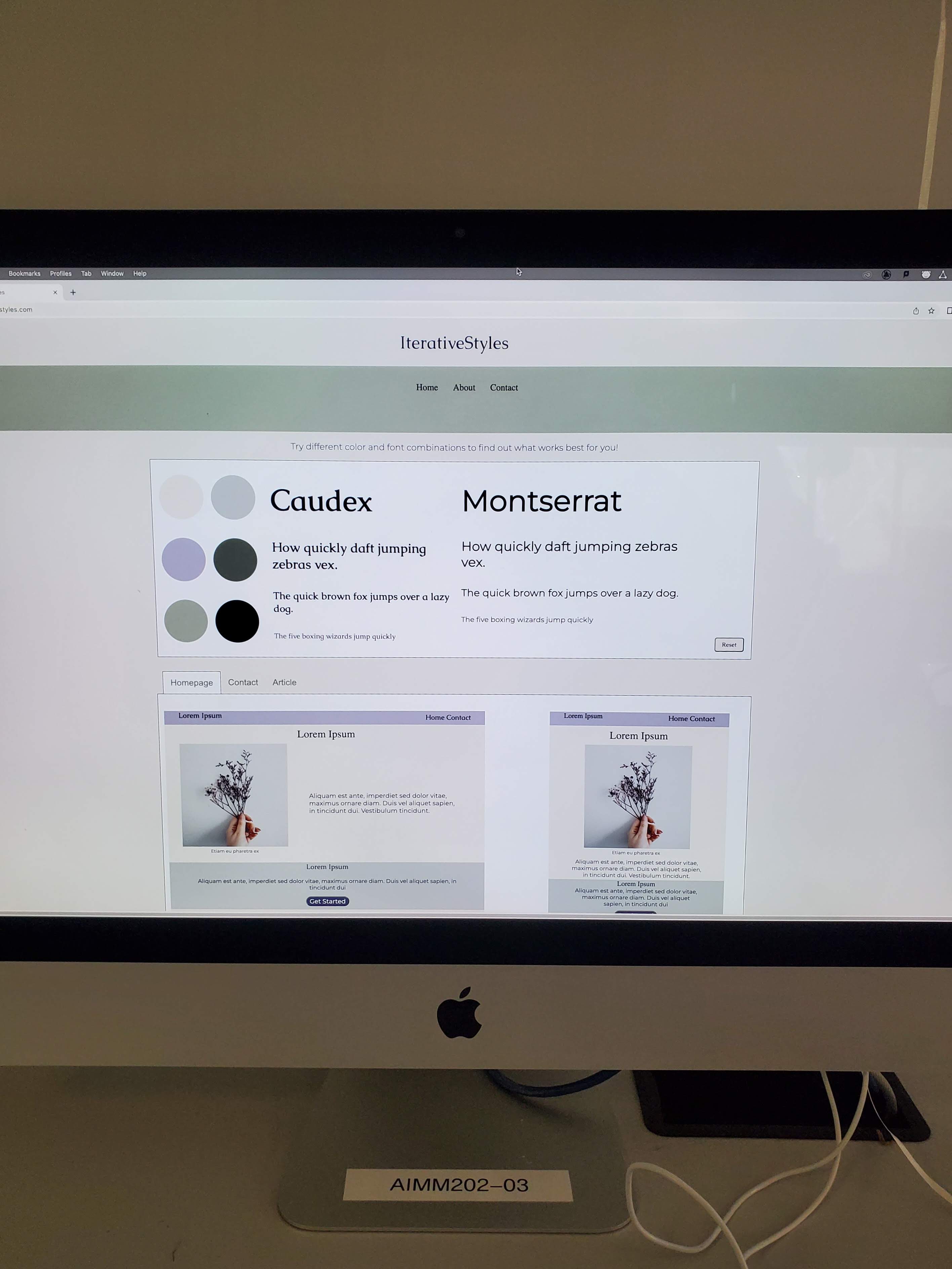 IterativeStyles website on the 2nd Mac
