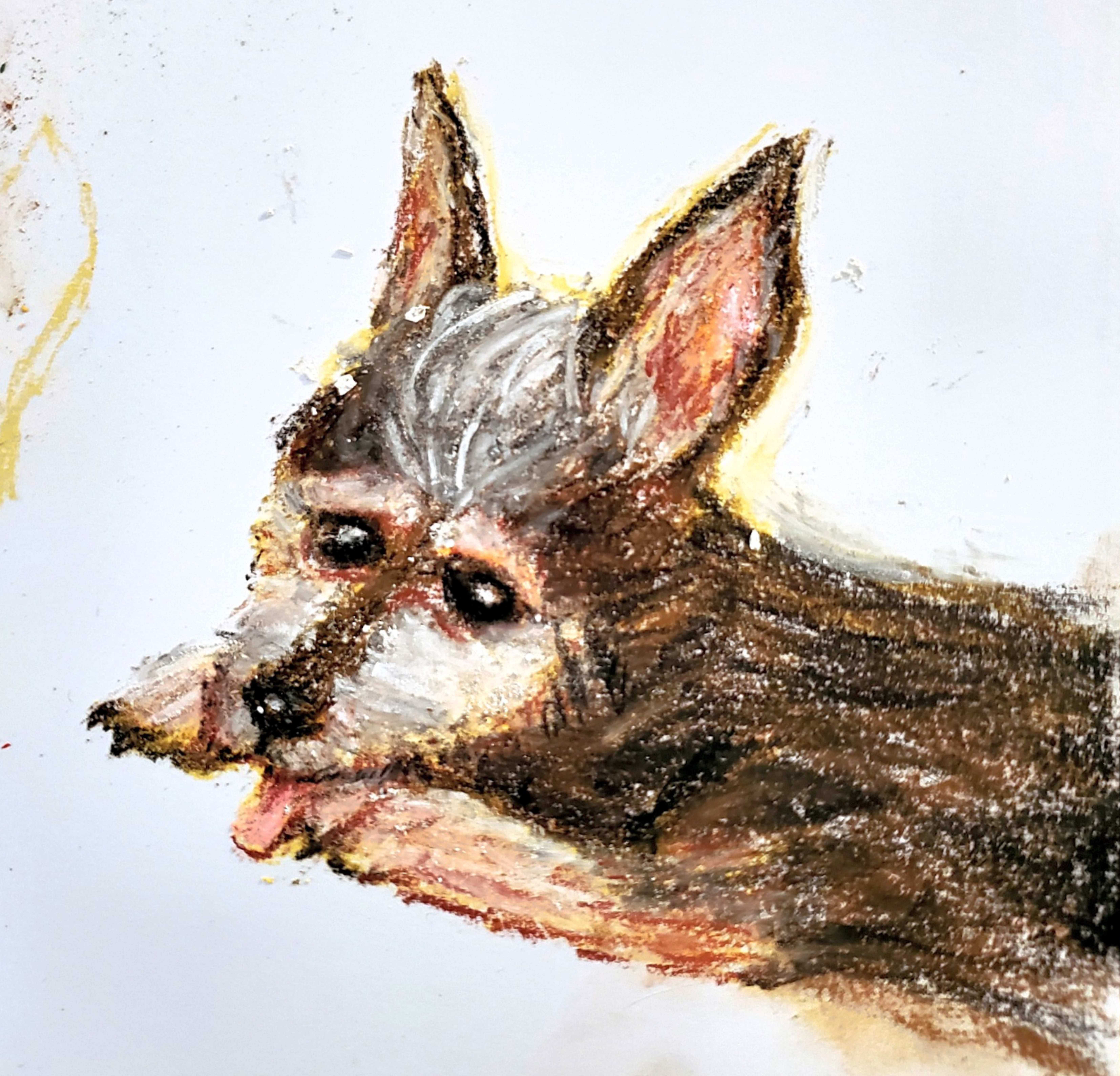 Nupastel drawing of Minnie on regualr sketchbook paper